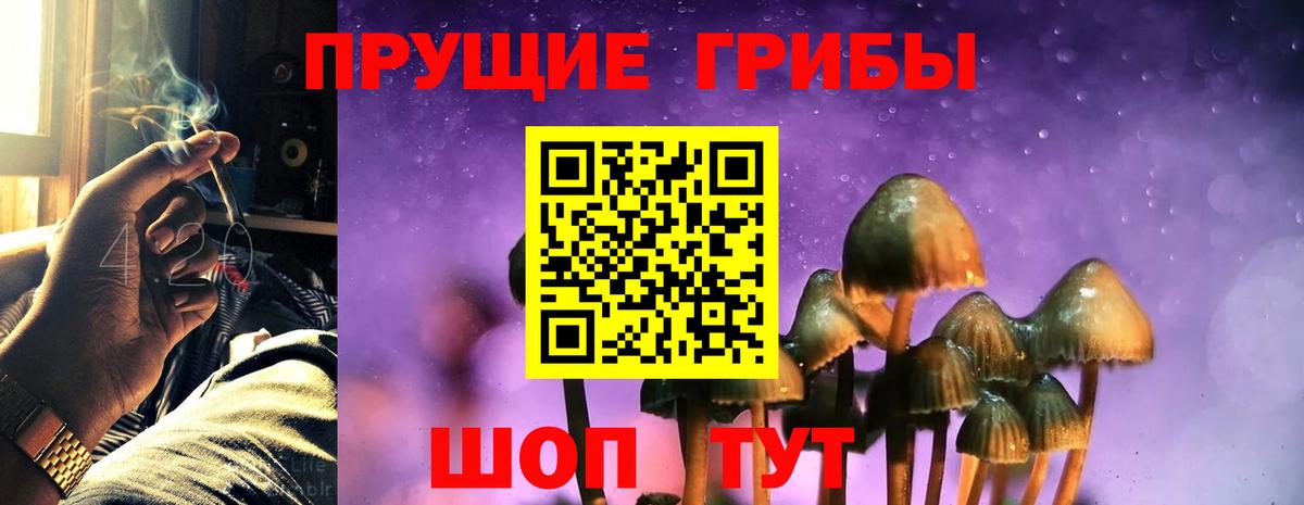 Псилоцибиновые грибы мухоморы Хасавюрт